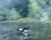 WATCH: Bald Eagle Steals Fisherman's Catch