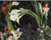 Rebecca Campbell: Rebecca Campbell on the ImageBlog