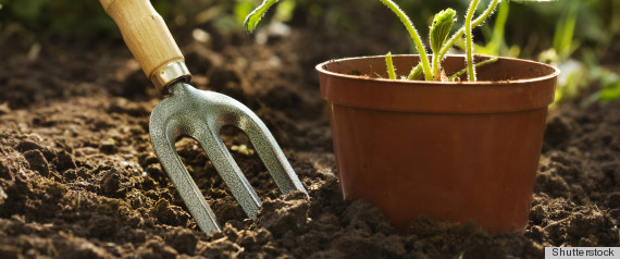 GARDENING TOOL