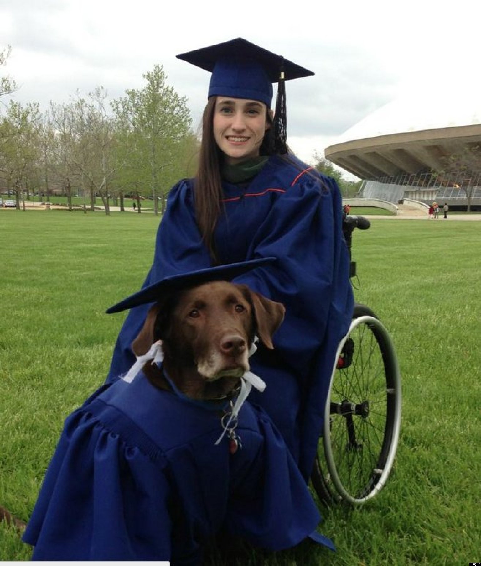 Service Dog Arrives At College Graduation In Cap And Gown, Becomes ...