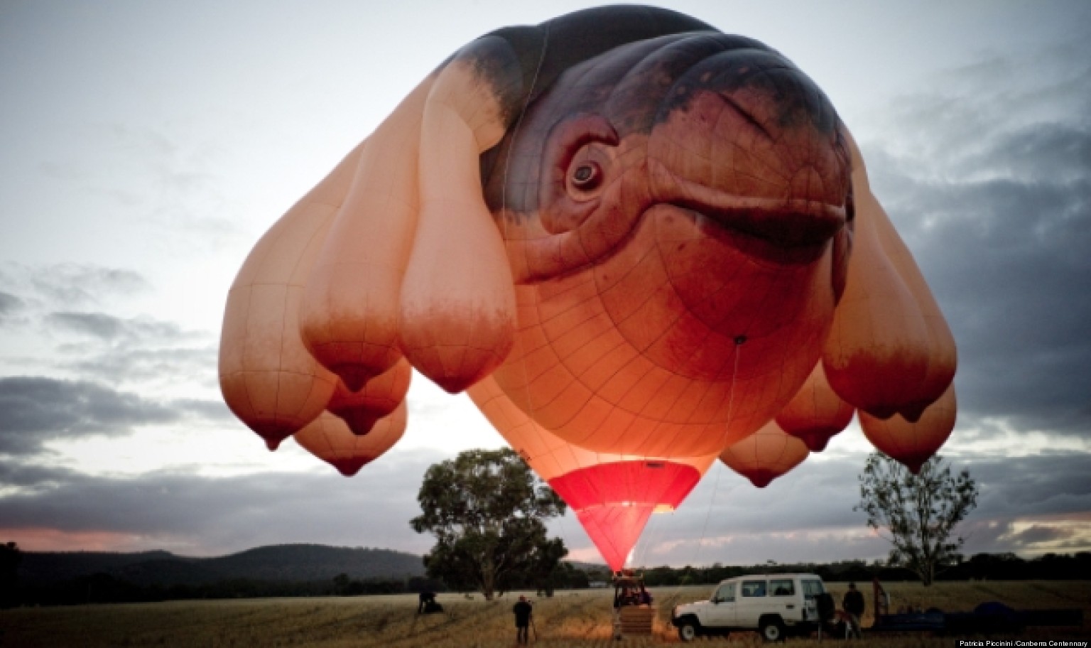http://i.huffpost.com/gen/1137120/images/o-SKYWHALE-facebook.jpg