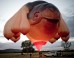 ARTINFO: The Ugliest Inflatable Sculpture Ever?