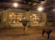 Woodbridge Machine Shop Will Transform Into A Wild Arts Laboratory