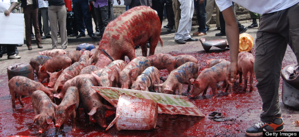 LOOK: Kenyans Protest Parliament's 'Greedy Pigs'