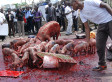 LOOK: Kenyans Protest Parliament's 'Greedy Pigs'