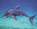 oceanography