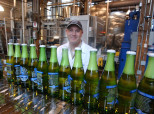Lcbo Strike Beer Wine