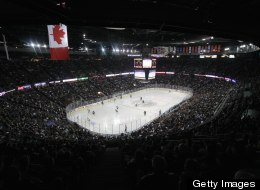 Private Citizen Commissions Survey On Controversial Arena