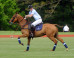 PHOTOS: Prince Harry Plays Polo For A VERY Fashionable Audience