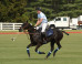 Jody Thompson: Polo: It's Not Just for the Posh, and It's a Chukka to Play