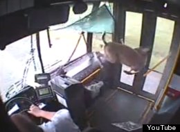 WATCH: Incredible Moment A Deer Crashes Through A Bus Window