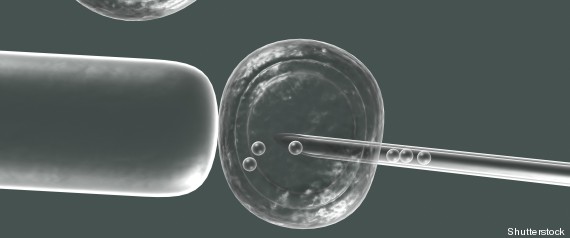 Clonage : vingt ans après la brebis, l'homme ? R-CELLULES-SOUCHES-EMBRYONNAIRES-large570