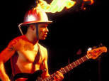 Flea
