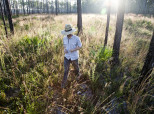 Lyme Disease Myths