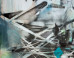 Chris Trueman: Chris Trueman on the ImageBlog