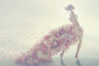 Beauty And The Bride: Supplements...