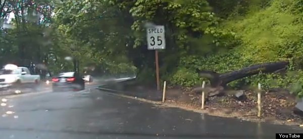 Police Car Runs Into Small Problem