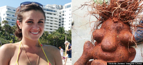 VOTE: Bikini Teacher Vs. Homer Simpson Root: The Weird News Top 10