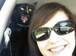 Cat Photobombs