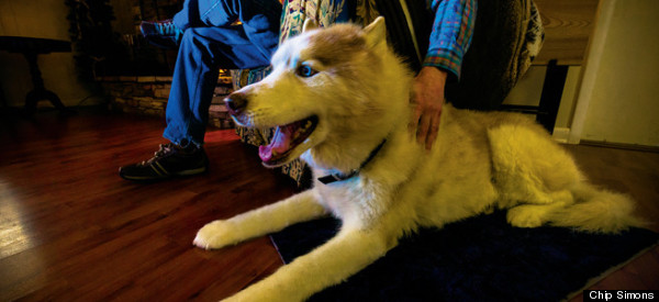Meet The Canine Minister To A Man With Alzheimer's