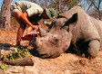 How Criminology Might Help Fight Poaching