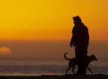 Marine Dog Reunited
