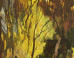 Vera Iliatova: Vera Iliatova on the ImageBlog