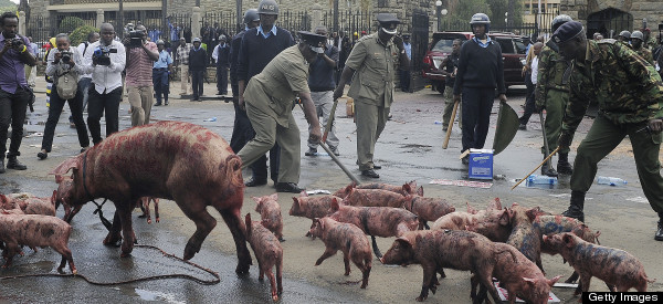 This Week's Photo Caption Contest