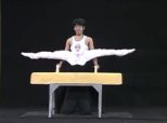 Pommel Horse Japan Sketch