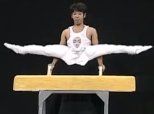 Japanese Pommel Horse