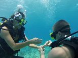 Underwater Proposal