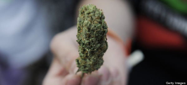 Coloradans Will Use More Than 2 Million Ounces Of Pot In 2014: Study
