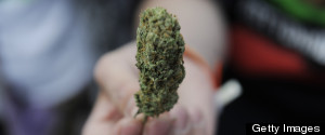 Coloradans Will Use More Than 2 Million Ounces Of Pot In 2014: Study