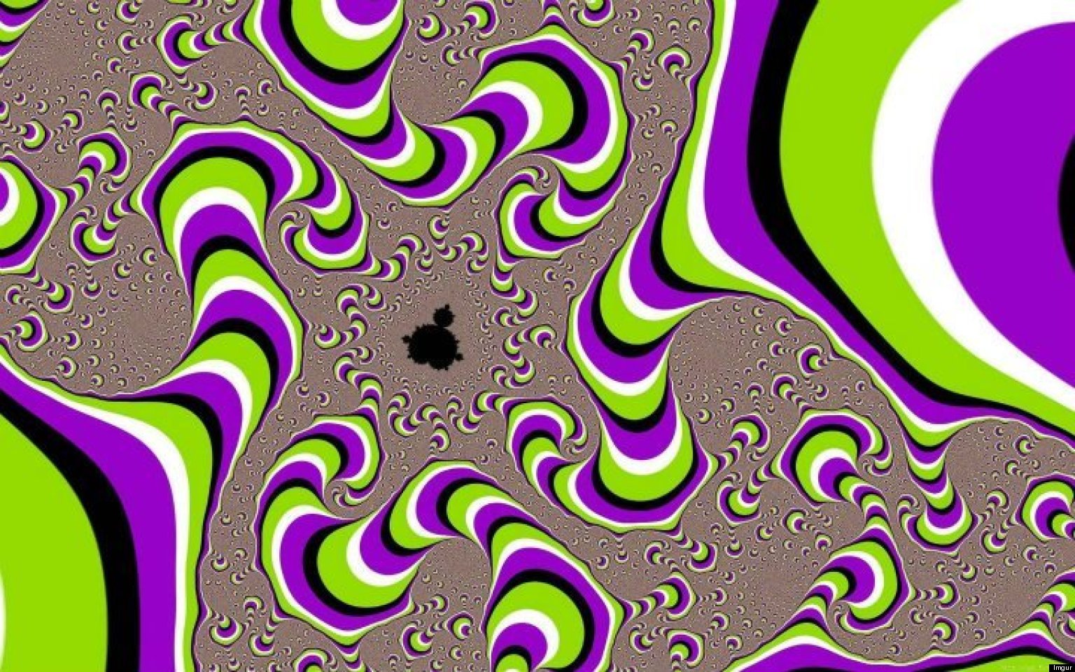 OPTICAL-ILLUSIONS-facebook.jpg