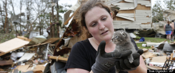 tiny-kitten-saved-after-the-oklahoma-tornadoes