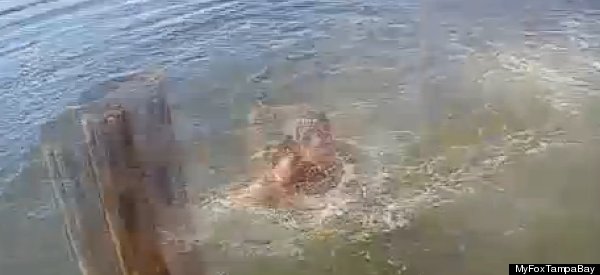WATCH: It's Not Nice To Do This To A Manatee!