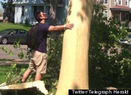 http://i.huffpost.com/gen/1147868/thumbs/s-TREE-STRIPPED-BY-LIGHTNING-large.jpg?6