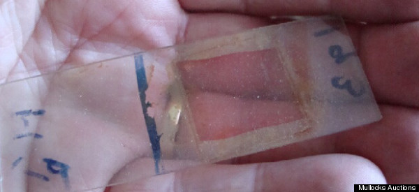 Gandhi Blood Sample Up For Auction In London