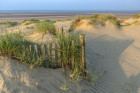 Get Out Of Town (Literally): A Sussex...