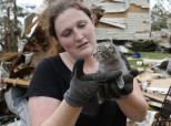Oklahoma Pets