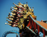 Universal Orlando Theme Park