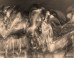 Fatemeh Burnes: Fatemeh Burnes on the ImageBlog