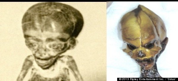 Search Begins For 6-Inch Alien's Earthling Cousin