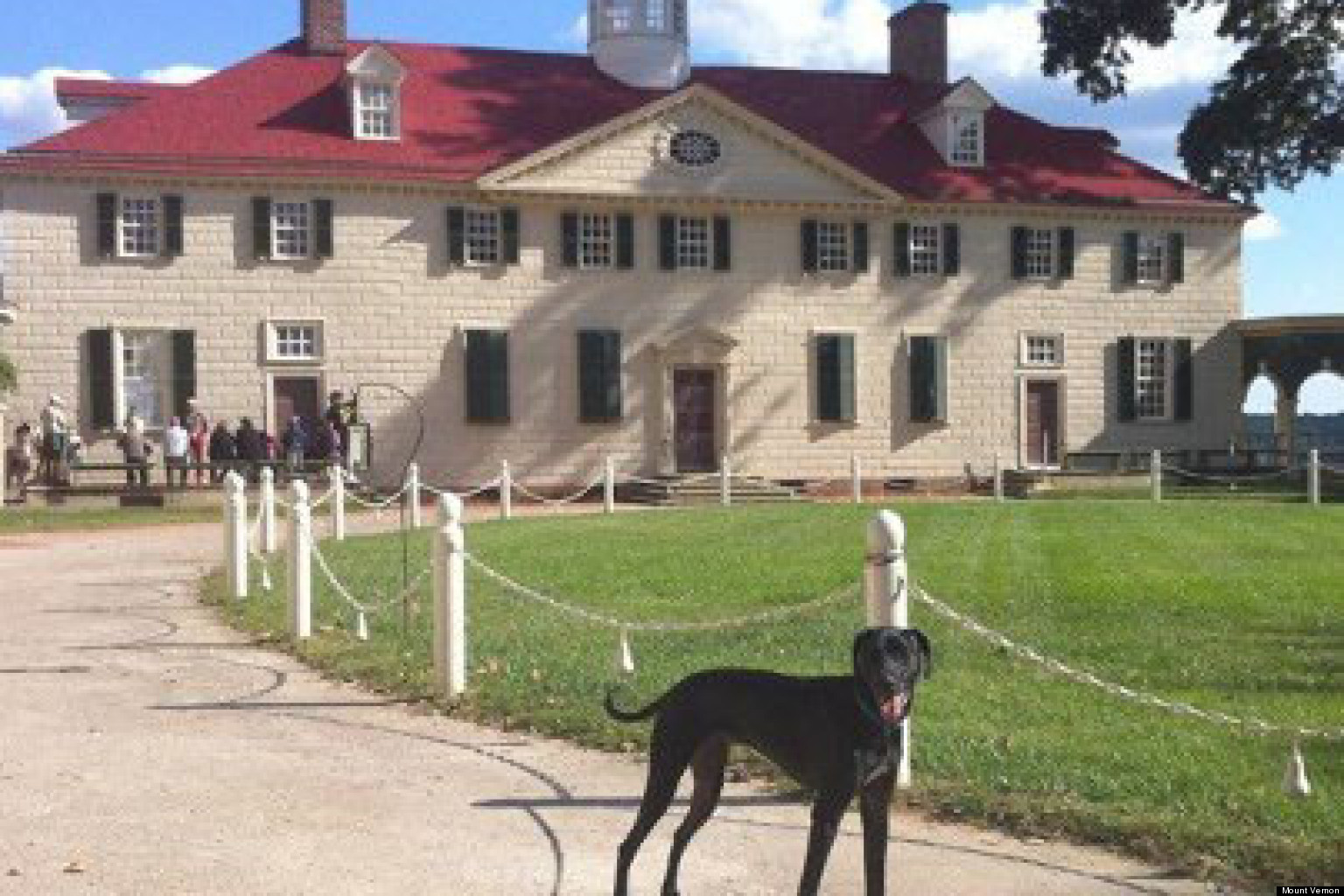 Mount Vernon DogWalking Tours You And Your Pup Will Get To Know