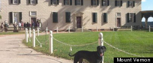 Calling All Dog-Loving History Buffs!