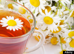 Camomile Tea Could Fight Superpower Of Cancer Cells, Study Suggests