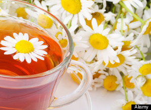 Camomile Tea