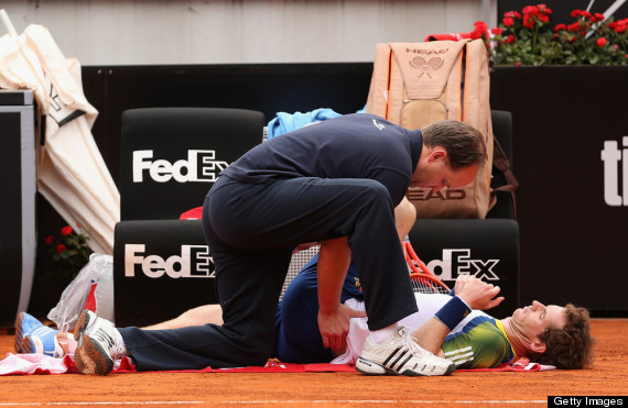 andy murray