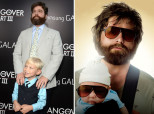 The Hangover