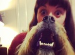 Dog Beard
